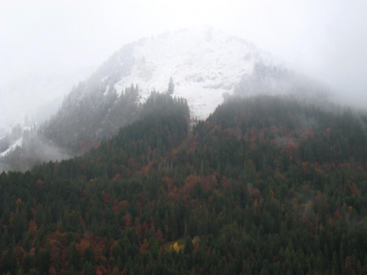 Appartement Au Pied Des Pistes, Avec Vue Sur La Montagne بيرنيكس المظهر الخارجي الصورة